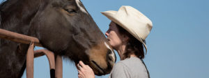 healing through horses in arizona