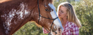 spend time with horses in arizona
