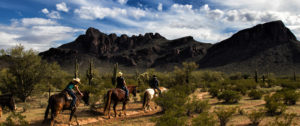 ride horses in arizona