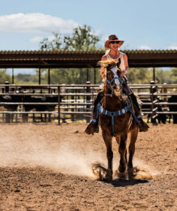 equine coaching retreat arizona