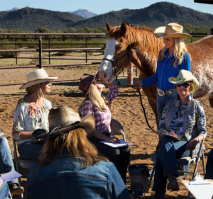 white stallion ranch retreats