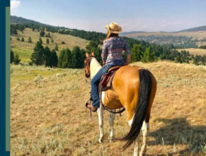 blonde cowgirl riding horse in montana at sunset