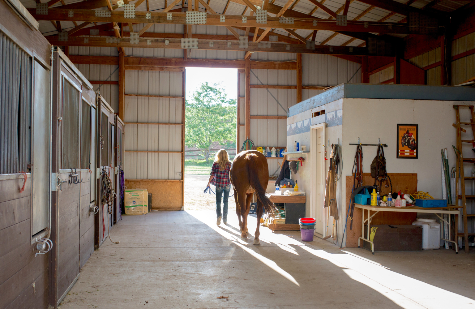 Allowing myself to cry - Unbridled Retreats